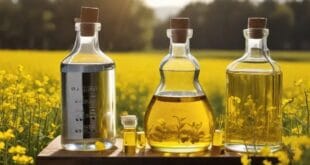 Canola Oil Manufacturers