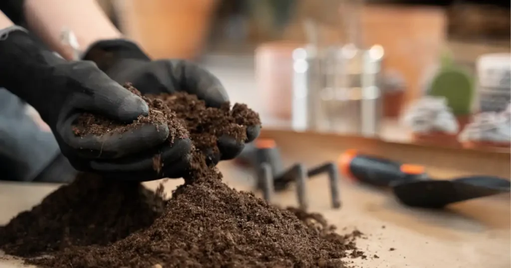 soil analysis