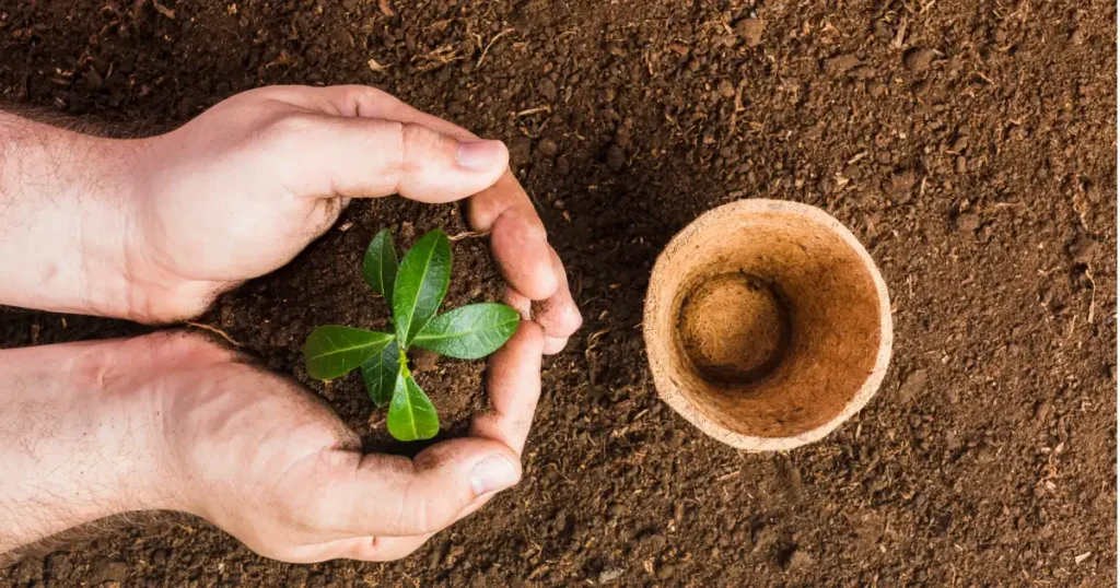 soil analysis