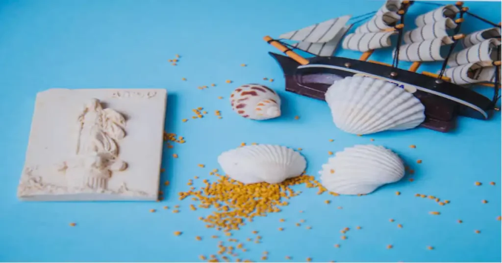 The Fascinating World of Cowrie Shells: Nature’s Treasures