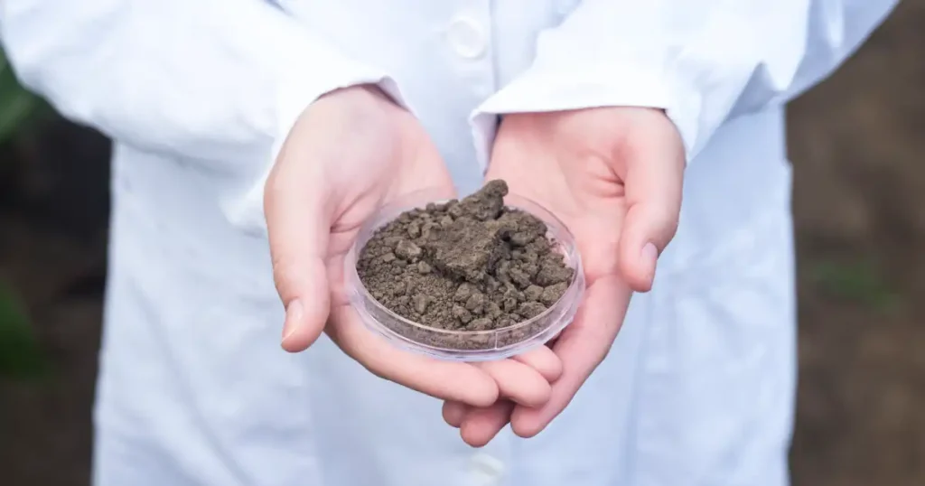 soil analysis
