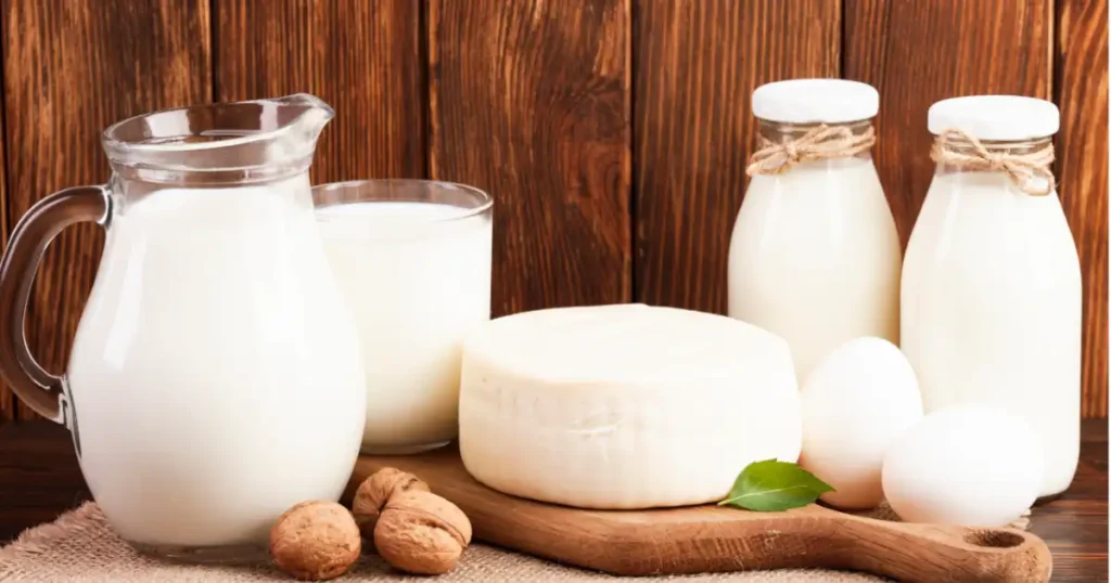 uht milk products