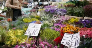 Brisbane Flower Markets: 6 Must-Visit Spots for Fresh Blooms