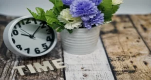 Mornington Tip Hours: Ultimate Guide to Save Time in 2024