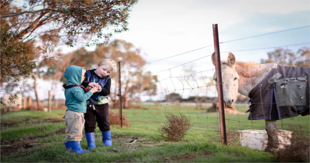 Nellie Melba Retirement Village: Top 5 Reasons to Choose this Luxurious Community