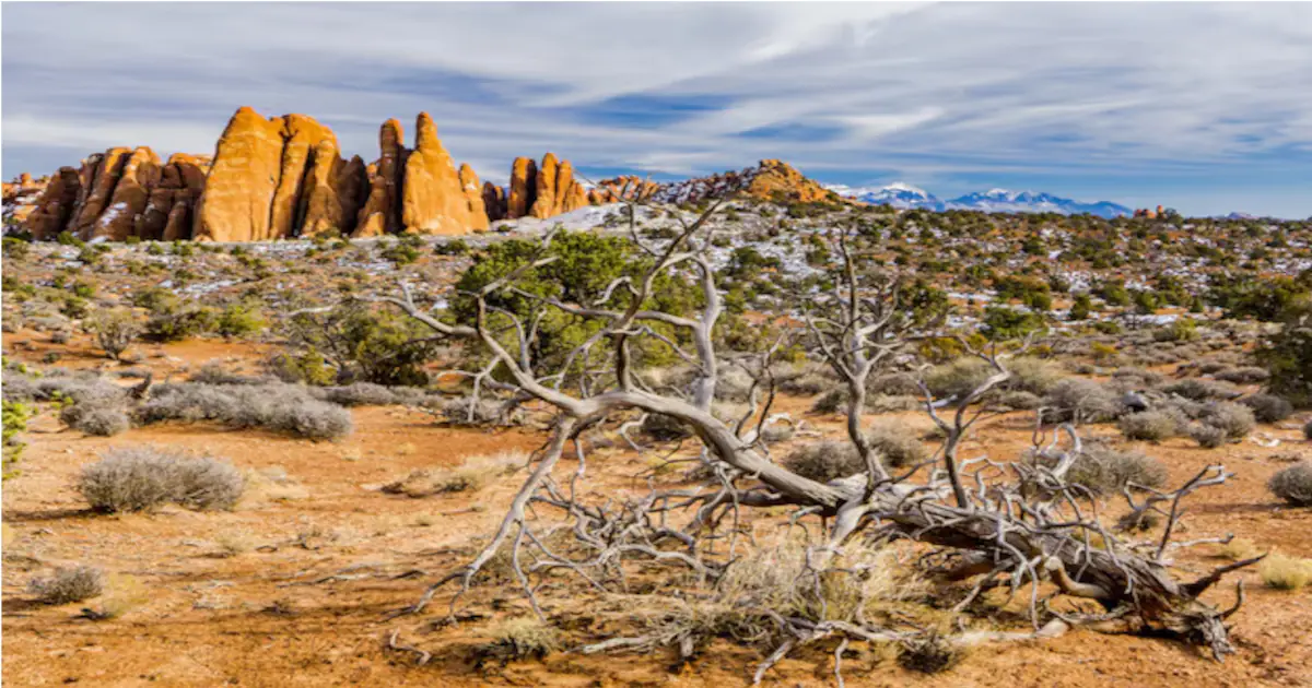 Discover Paulden Arizona: A Hidden Gem in the Heart of Yavapai County