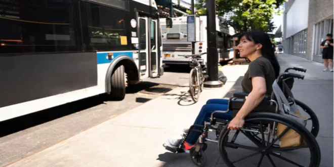 starting paratransit business: 10 Proven Steps for Success