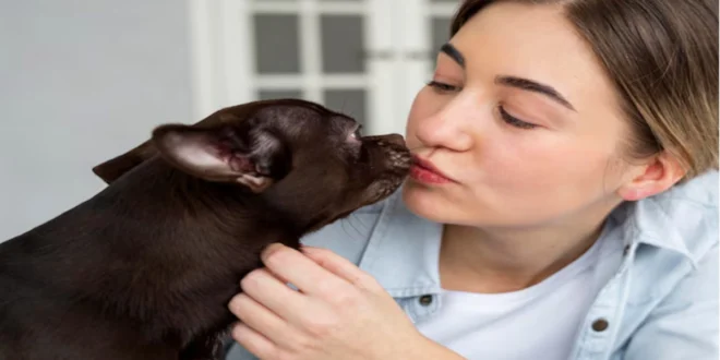 Why Dogs Lick You: Understanding the Behavior and Its Meanings