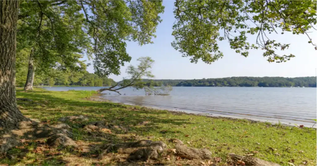 Discovering bender park oak creek wi: A Hidden Gem for Outdoor Enthusiasts