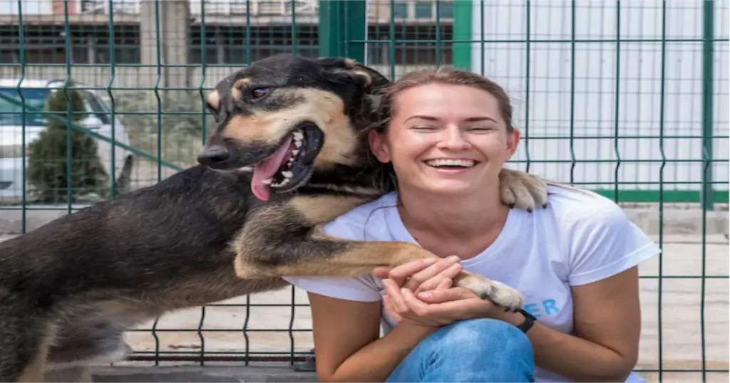 Dogs Near Me for Adoption Free – Finding Your Perfect Companion