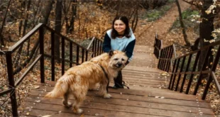 Finding Dogs Near Us: Your Ultimate Guide to Adopting, Rescuing, and Enjoying Dogs Nearby