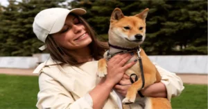 Dogs to Adopt Near Me: A Guide to Finding Your Perfect Furry Companion
