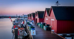 Exploring Harwichport: A Charming Cape Cod Destination for Every Traveler