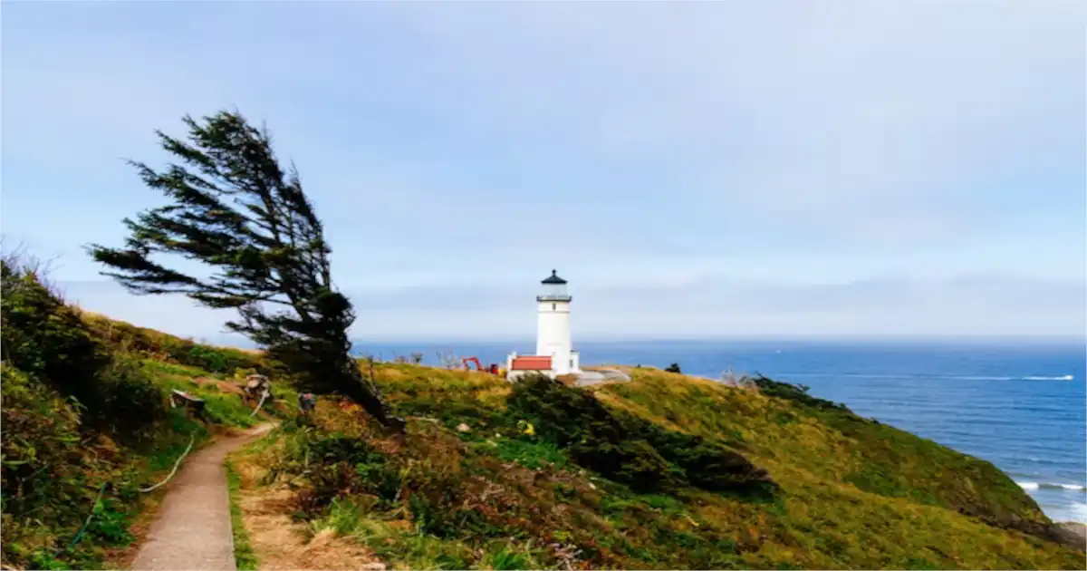 Discovering Headland, AL: A Hidden Gem in the Heart of Alabama