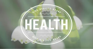 Health 100: A Comprehensive Guide to Achieving Optimal Well-Being