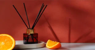 Nest New York Sunlit Yuzu: A Fragrance Experience That Transforms Your Space