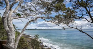 South Carolina Beech Island: A Hidden Gem Worth Exploring