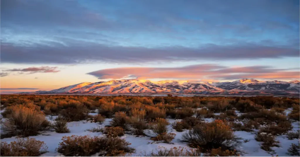 Flight to Dallas: A Hidden Gem – Amargosa Nevada