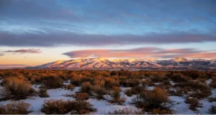 Flight to Dallas: A Hidden Gem – Amargosa Nevada