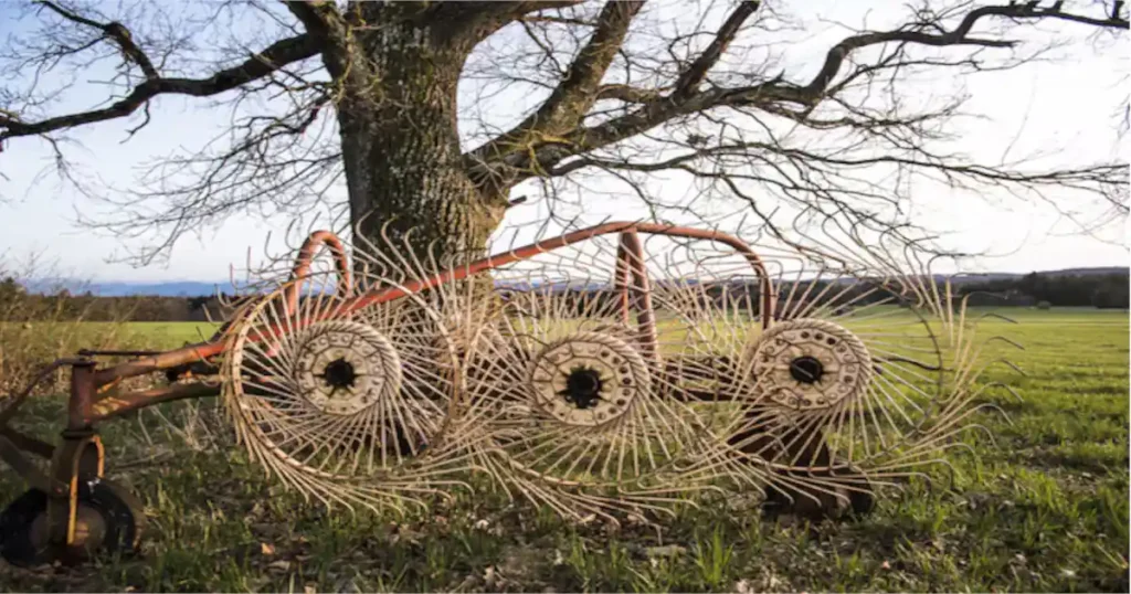 Discover the Charm of Creal Springs IL: A Hidden Gem in Southern Illinois
