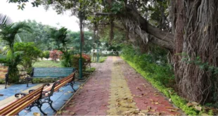 Fowler Park Forsyth: A Hidden Gem in Georgia’s Natural Beauty