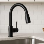 Black Kitchen Sink Faucets Becoming More Favored because these is Very beautiful and Functional Appeal