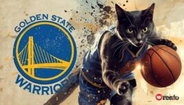 Warriors Reddit: How Fans Talk, Share, and Cheer Together