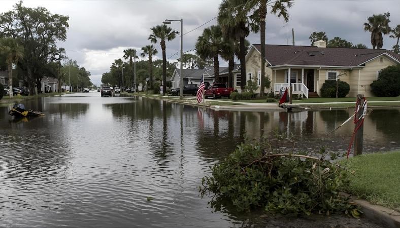 fema hurricane milton: 2025 Guide
