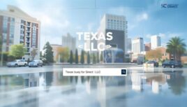 Texas LLC Search Guide: 2025 Steps