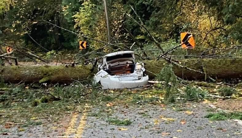 boy killed howell nature center