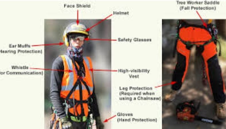 boy killed howell nature center