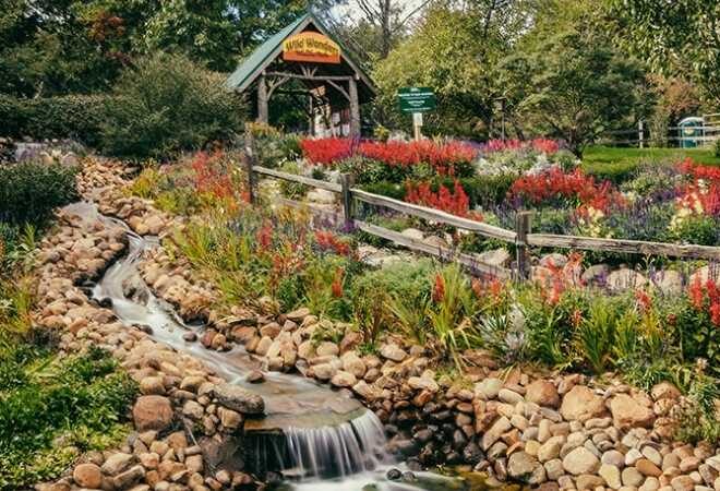 Boy Killed at Howell Nature Center Story