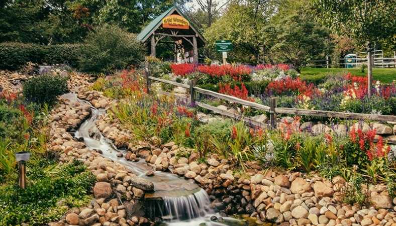 Boy Killed at Howell Nature Center Story boy killed howell nature center