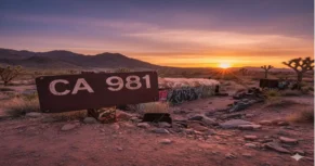 CA981 Flight: Beijing to NYC Basics