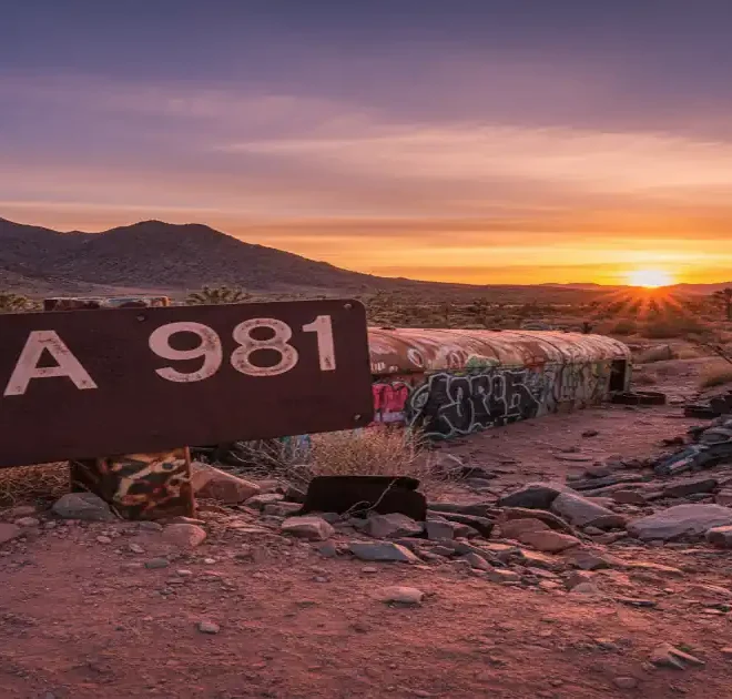 CA981 Flight: Beijing to NYC Basics